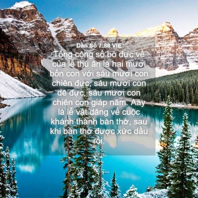 Picture 04 - Dân Số 7:88 VIE - Tổng cộng số bò đực về của lễ - Bible Verse Picture