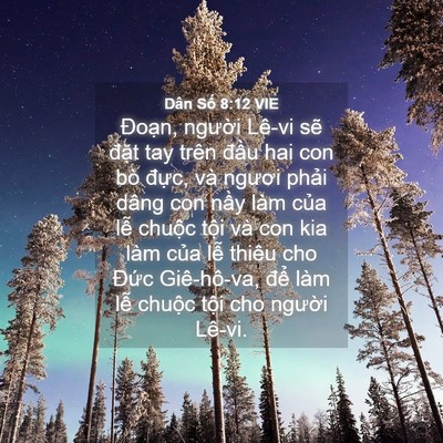 Picture 04 - Dân Số 8:12 VIE - Đoạn, người Lê-vi sẽ đặt tay trên - Bible Verse Picture