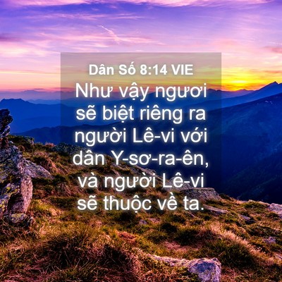 Picture 04 - Dân Số 8:14 VIE - Như vậy ngươi sẽ biệt riêng ra người - Bible Verse Picture