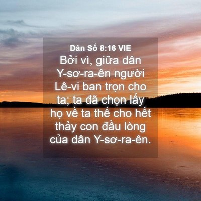 Picture 04 - Dân Số 8:16 VIE - Bởi vì, giữa dân Y-sơ-ra-ên người - Bible Verse Picture