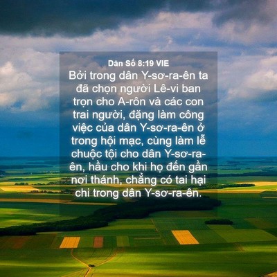 Picture 04 - Dân Số 8:19 VIE - Bởi trong dân Y-sơ-ra-ên ta đã chọn - Bible Verse Picture