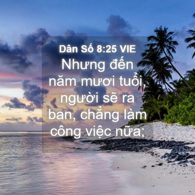 Picture 04 - Dân Số 8:25 VIE - Nhưng đến năm mươi tuổi, người sẽ - Bible Verse Picture