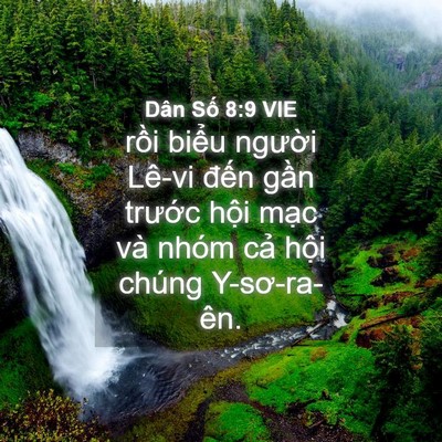 Picture 04 - Dân Số 8:9 VIE - rồi biểu người Lê-vi đến gần - Bible Verse Picture