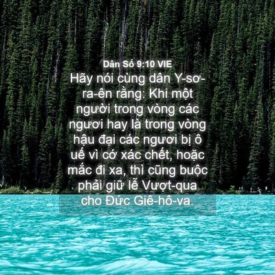 Picture 04 - Dân Số 9:10 VIE - Hãy nói cùng dân Y-sơ-ra-ên rằng: Khi - Bible Verse Picture