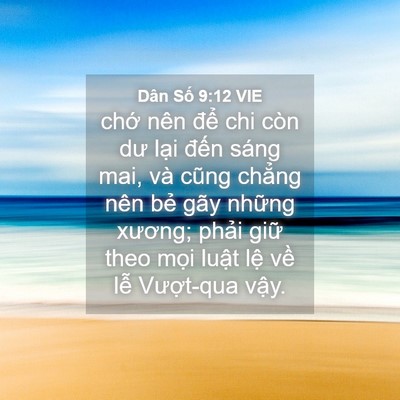 Picture 04 - Dân Số 9:12 VIE - chớ nên để chi còn dư lại đến sáng - Bible Verse Picture