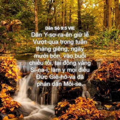 Picture 04 - Dân Số 9:5 VIE - Dân Y-sơ-ra-ên giữ lễ Vượt-qua trong - Bible Verse Picture