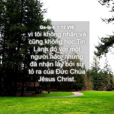 Picture 04 - Ga-la-ti 1:12 VIE - vì tôi không nhận và cũng không học Tin - Bible Verse Picture