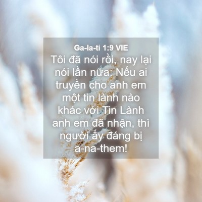 Picture 04 - Ga-la-ti 1:9 VIE - Tôi đã nói rồi, nay lại nói lần nữa: - Bible Verse Picture