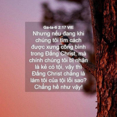 Picture 04 - Ga-la-ti 2:17 VIE - Nhưng nếu đang khi chúng tôi tìm cách - Bible Verse Picture