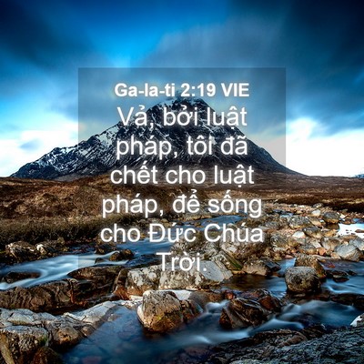 Picture 04 - Ga-la-ti 2:19 VIE - Vả, bởi luật pháp, tôi đã chết cho - Bible Verse Picture