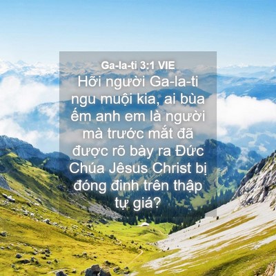 Picture 04 - Ga-la-ti 3:1 VIE - Hỡi người Ga-la-ti ngu muội kia, ai bùa - Bible Verse Picture