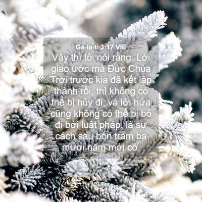 Picture 04 - Ga-la-ti 3:17 VIE - Vậy thì tôi nói rằng: Lời giao ước - Bible Verse Picture