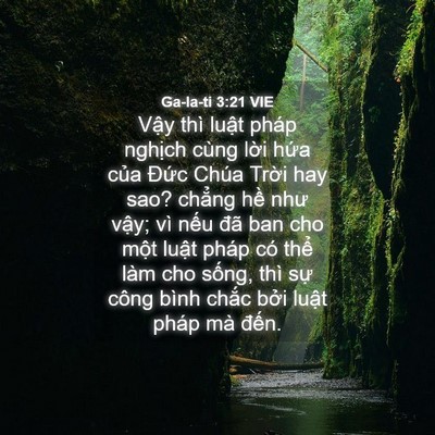 Picture 04 - Ga-la-ti 3:21 VIE - Vậy thì luật pháp nghịch cùng lời - Bible Verse Picture