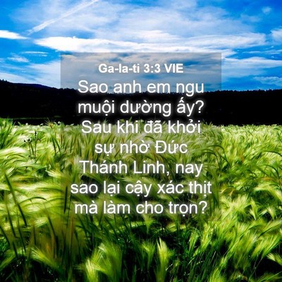 Picture 04 - Ga-la-ti 3:3 VIE - Sao anh em ngu muội dường ấy? Sau khi đã - Bible Verse Picture