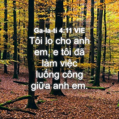 Picture 04 - Ga-la-ti 4:11 VIE - Tôi lo cho anh em, e tôi đã làm việc - Bible Verse Picture