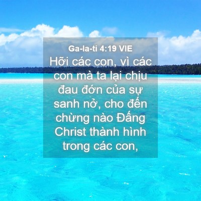 Picture 04 - Ga-la-ti 4:19 VIE - Hỡi các con, vì các con mà ta lại chịu - Bible Verse Picture