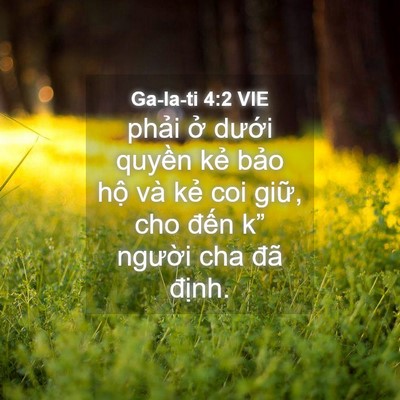 Picture 04 - Ga-la-ti 4:2 VIE - phải ở dưới quyền kẻ bảo hộ và - Bible Verse Picture