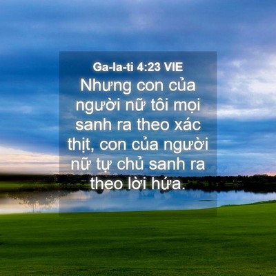 Picture 04 - Ga-la-ti 4:23 VIE - Nhưng con của người nữ tôi mọi sanh ra - Bible Verse Picture