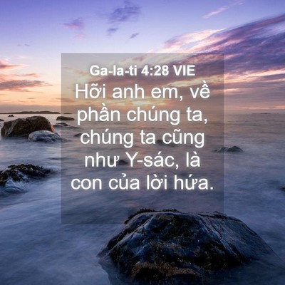 Picture 04 - Ga-la-ti 4:28 VIE - Hỡi anh em, về phần chúng ta, chúng ta - Bible Verse Picture