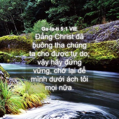 Picture 04 - Ga-la-ti 5:1 VIE - Đấng Christ đã buông tha chúng ta cho - Bible Verse Picture