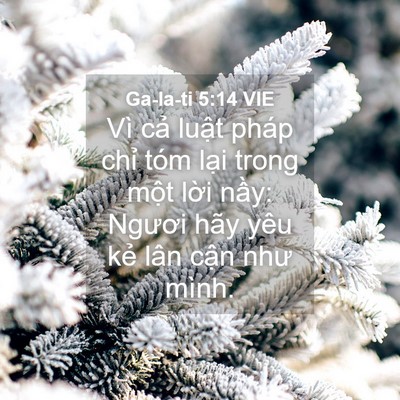 Picture 04 - Ga-la-ti 5:14 VIE - Vì cả luật pháp chỉ tóm lại trong - Bible Verse Picture