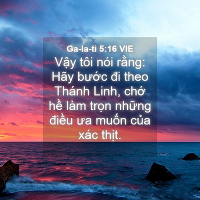 Picture 04 - Ga-la-ti 5:16 VIE - Vậy tôi nói rằng: Hãy bước đi theo - Bible Verse Picture