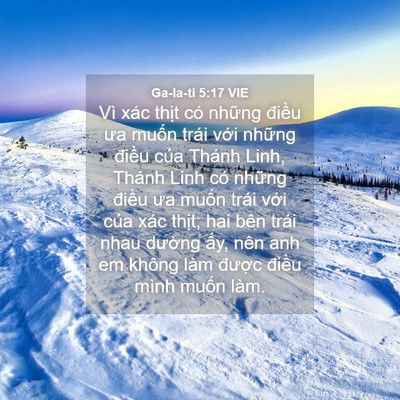 Picture 04 - Ga-la-ti 5:17 VIE - Vì xác thịt có những điều ưa muốn - Bible Verse Picture