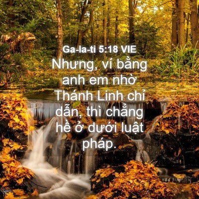Picture 04 - Ga-la-ti 5:18 VIE - Nhưng, ví bằng anh em nhờ Thánh Linh chỉ - Bible Verse Picture