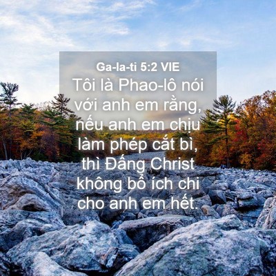Picture 04 - Ga-la-ti 5:2 VIE - Tôi là Phao-lô nói với anh em rằng, nếu - Bible Verse Picture