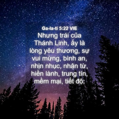 Picture 04 - Ga-la-ti 5:22 VIE - Nhưng trái của Thánh Linh, ấy là lòng - Bible Verse Picture