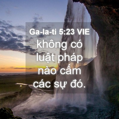 Picture 04 - Ga-la-ti 5:23 VIE - không có luật pháp nào cấm các sự - Bible Verse Picture