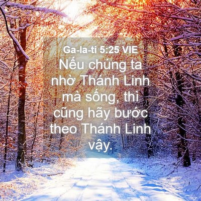 Picture 04 - Ga-la-ti 5:25 VIE - Nếu chúng ta nhờ Thánh Linh mà sống, - Bible Verse Picture