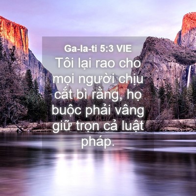Picture 04 - Ga-la-ti 5:3 VIE - Tôi lại rao cho mọi người chịu cắt - Bible Verse Picture