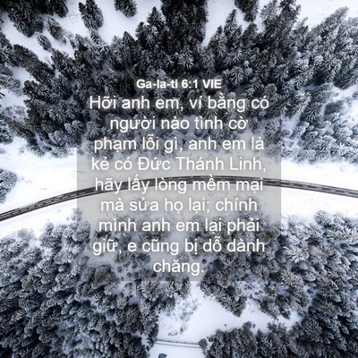 Picture 04 - Ga-la-ti 6:1 VIE - Hỡi anh em, ví bằng có người nào tình - Bible Verse Picture
