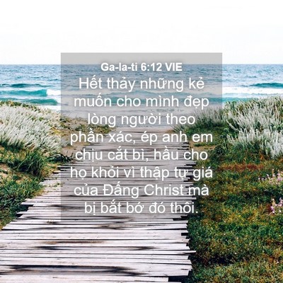 Picture 04 - Ga-la-ti 6:12 VIE - Hết thảy những kẻ muốn cho mình đẹp - Bible Verse Picture