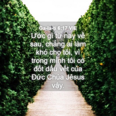 Picture 04 - Ga-la-ti 6:17 VIE - Ước gì từ nay về sau, chẳng ai làm - Bible Verse Picture