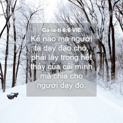 Picture 04 - Ga-la-ti 6:6 VIE - Kẻ nào mà người ta dạy đạo cho, - Bible Verse Picture