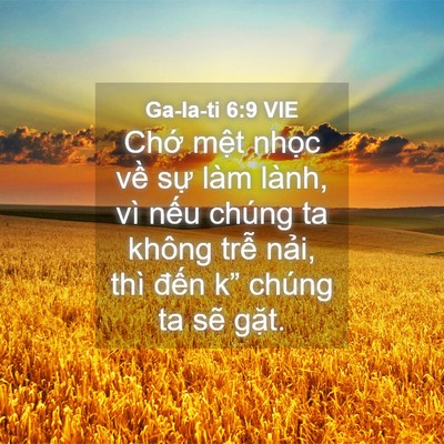 Picture 04 - Ga-la-ti 6:9 VIE - Chớ mệt nhọc về sự làm lành, vì - Bible Verse Picture