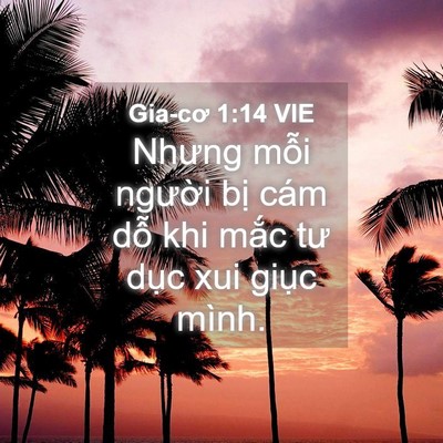 Picture 04 - Gia-cơ 1:14 VIE - Nhưng mỗi người bị cám dỗ khi mắc - Bible Verse Picture