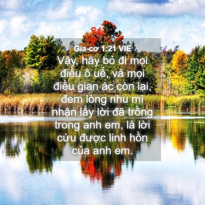 Picture 04 - Gia-cơ 1:21 VIE - Vậy, hãy bỏ đi mọi điều ô uế, và - Bible Verse Picture