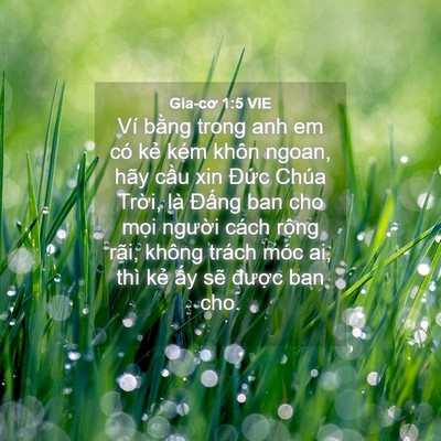 Picture 04 - Gia-cơ 1:5 VIE - Ví bằng trong anh em có kẻ kém khôn - Bible Verse Picture