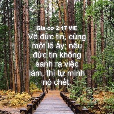 Picture 04 - Gia-cơ 2:17 VIE - Về đức tin, cũng một lẽ ấy; nếu - Bible Verse Picture
