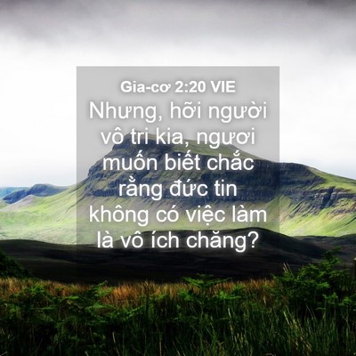 Picture 04 - Gia-cơ 2:20 VIE - Nhưng, hỡi người vô tri kia, ngươi - Bible Verse Picture