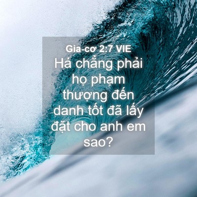 Picture 04 - Gia-cơ 2:7 VIE - Há chẳng phải họ phạm thượng đến - Bible Verse Picture