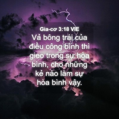 Picture 04 - Gia-cơ 3:18 VIE - Vả bông trái của điều công bình thì - Bible Verse Picture