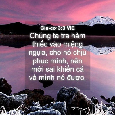 Picture 04 - Gia-cơ 3:3 VIE - Chúng ta tra hàm thiếc vào miệng ngựa, - Bible Verse Picture