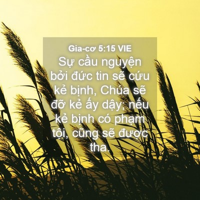 Picture 04 - Gia-cơ 5:15 VIE - Sự cầu nguyện bởi đức tin sẽ cứu - Bible Verse Picture