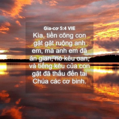 Picture 04 - Gia-cơ 5:4 VIE - Kìa, tiền công con gặt gặt ruộng anh - Bible Verse Picture
