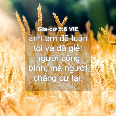 Picture 04 - Gia-cơ 5:6 VIE - anh em đã luận tội và đã giết người - Bible Verse Picture