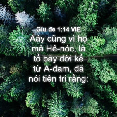 Picture 04 - Giu-đe 1:14 VIE - Aáy cũng vì họ mà Hê-nóc, là tổ bảy - Bible Verse Picture